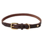 OYOY ZOO - Robin Collier pour chien, extra large, choko