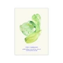 Paper Collective - The Cabbages Poster, 50 x 70 cm