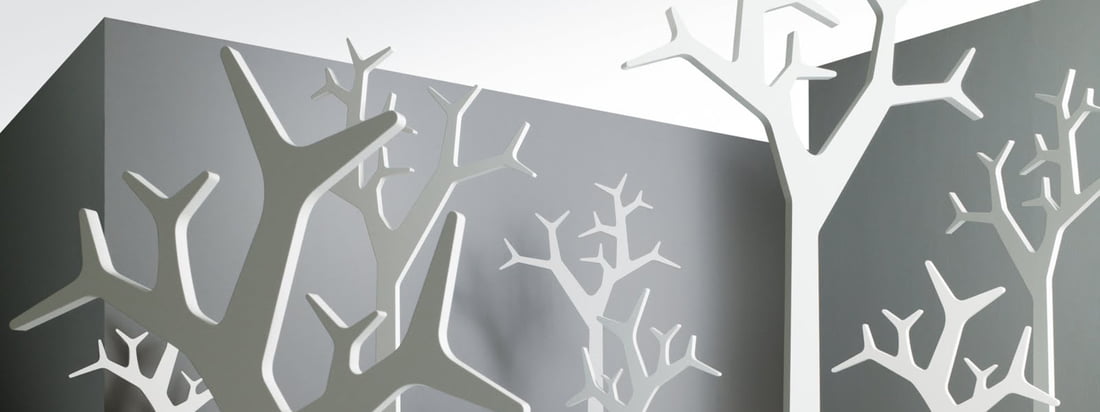 Banner du fabricant- Softline, 3840 x 1440