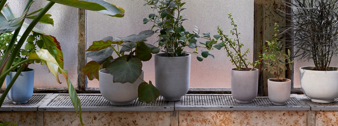 & Tradition - Collect