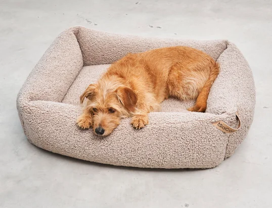 Senso Coussin pour animaux de MiaCara