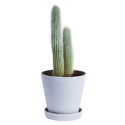 Hay - Pot de fleurs avec soucoupe