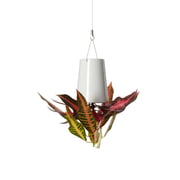 Boskke - Sky Planter Ceramic