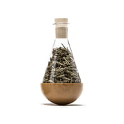 urbanature - stehauf flacon à herbes