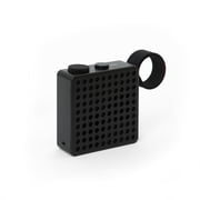 Palomar - The Monkey Radio / enceinte