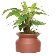 Boskke - Pot pour plantes en forme de bobine