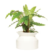 Boskke - Pot pour plantes en forme de bobine