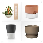 Cache-pot versus hydro-pot