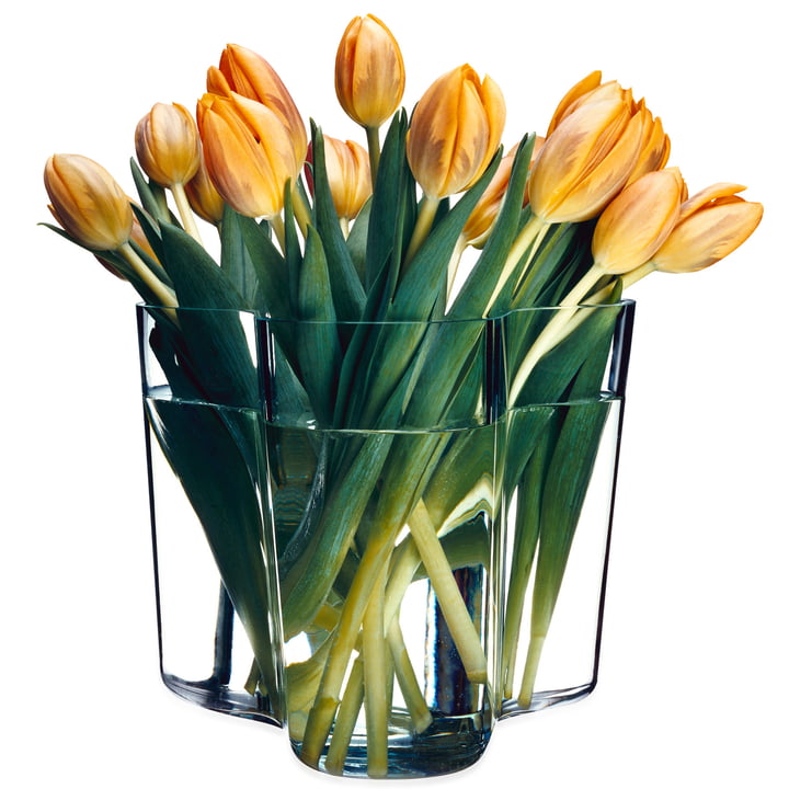 Alvar Aalto Vase avec tulipes fraîches