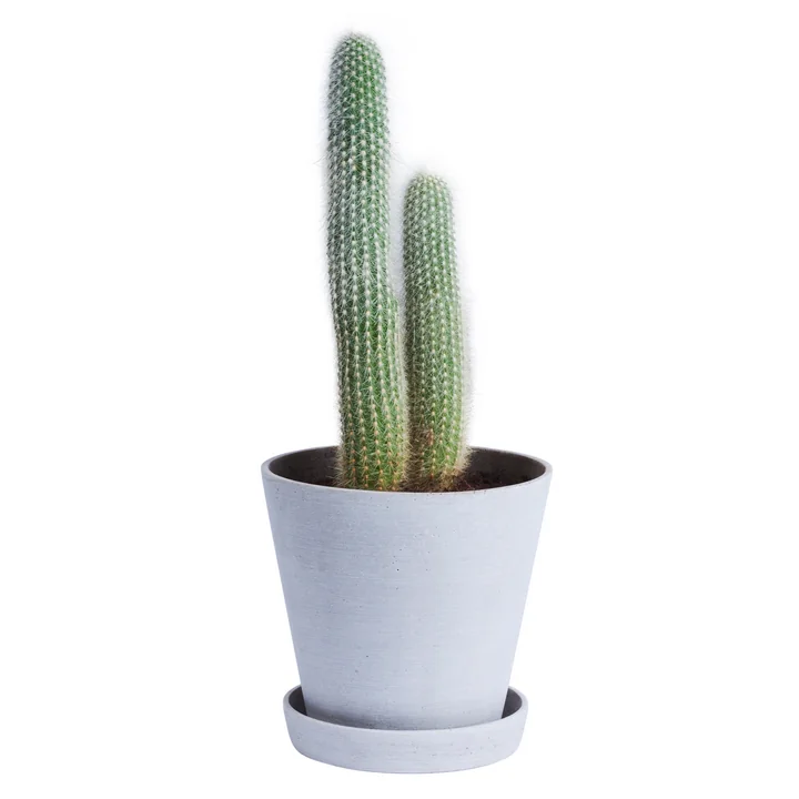 Le HAY - Flowerpot with Saucer en L, gris