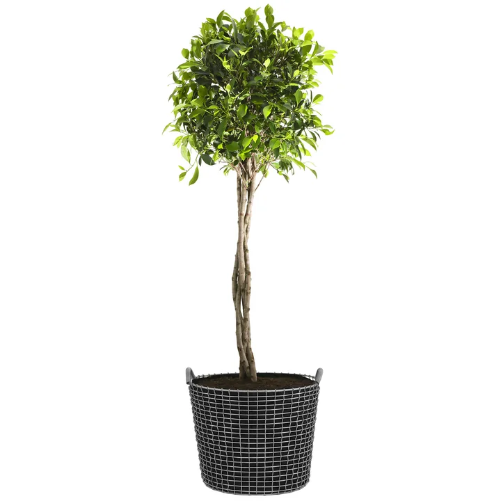 Corbeille en fil Classic 50 de Korbo avec Plant Bag
