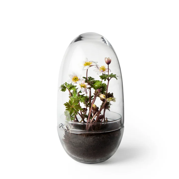Grow Serre de Design House Stockholm en grand