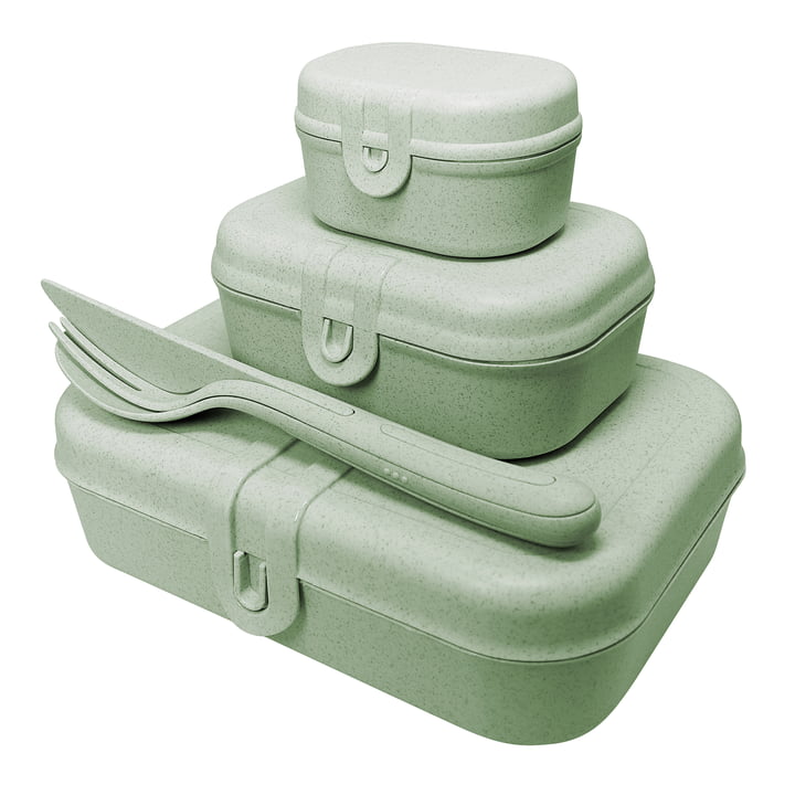 Pascal Ready Set lunchbox avec Klikk couverts de Koziol in organic green