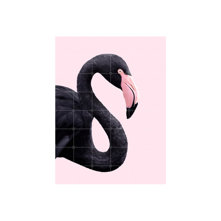 IXXI - Affiche Black flamingo, 120 x 160 cm