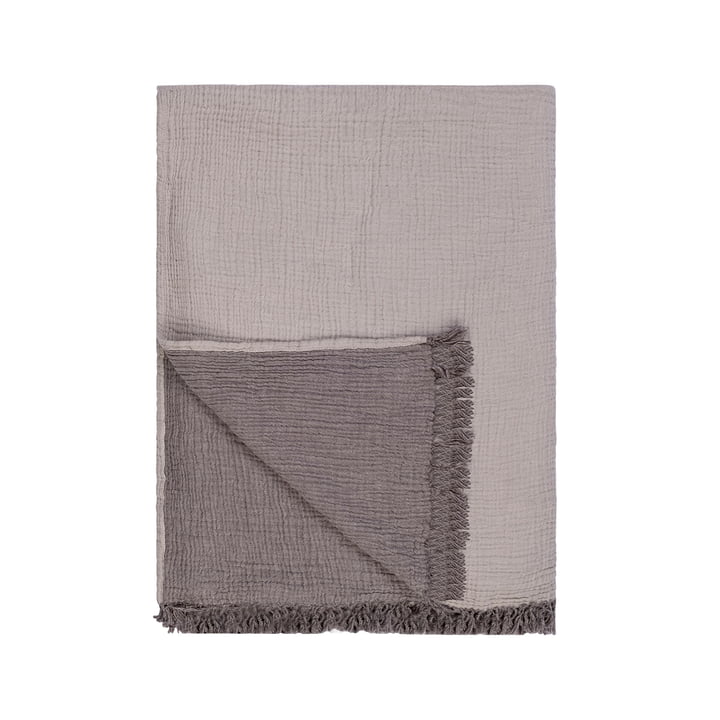 La couverture Cocoon de Collection , gris clair