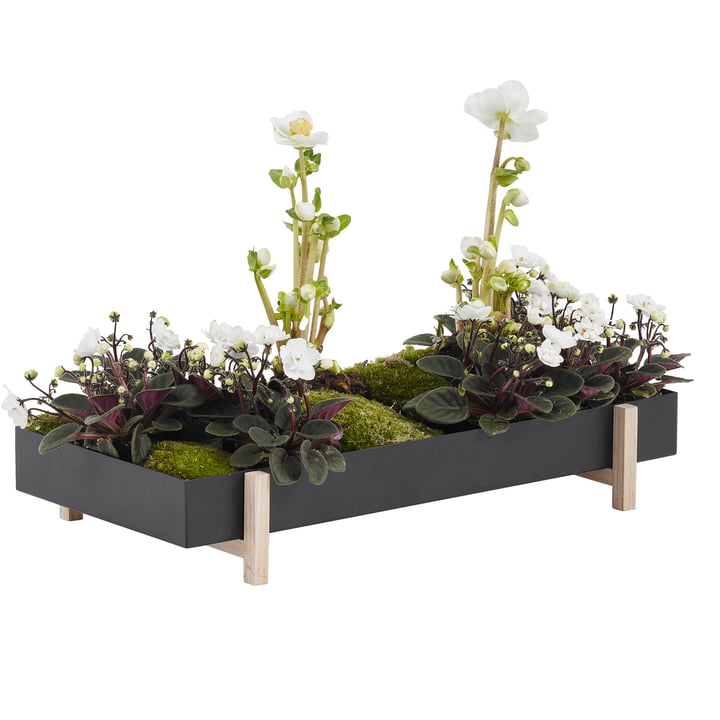 Le site Botanic Tray de Design House Stockholm avec des fleurs