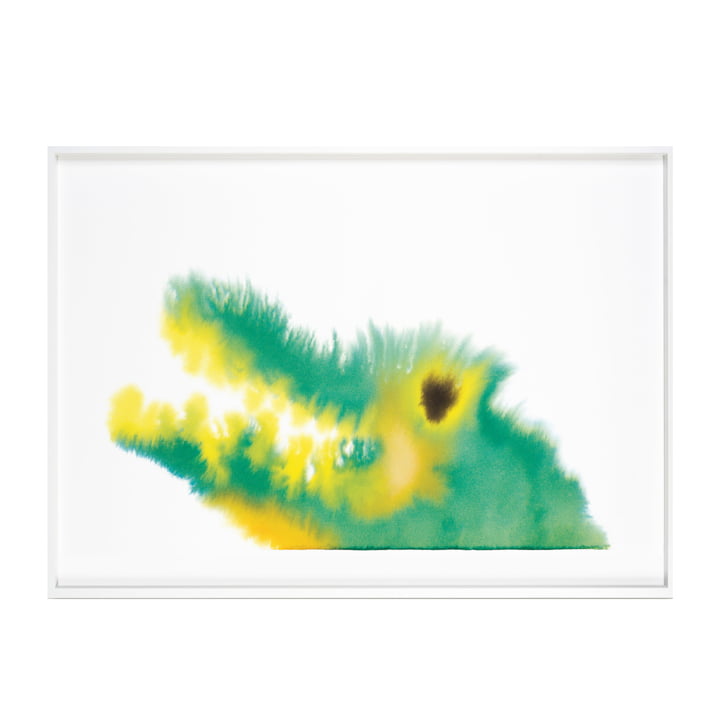 Poster crocodile avec cadre 52 x 69,8 cm de The Wrong Shop en multicolore