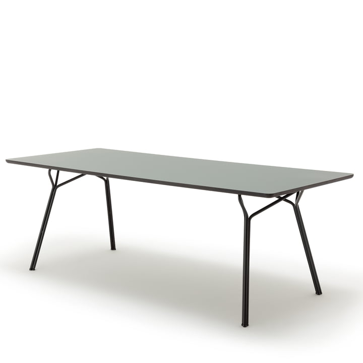 120 -211 Table de salle à manger, 220 x 90 cm de freistil en gris olive
