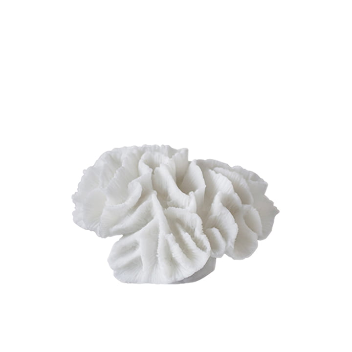 Coral Objet décoratif branchies de Mette Ditmer en blanc