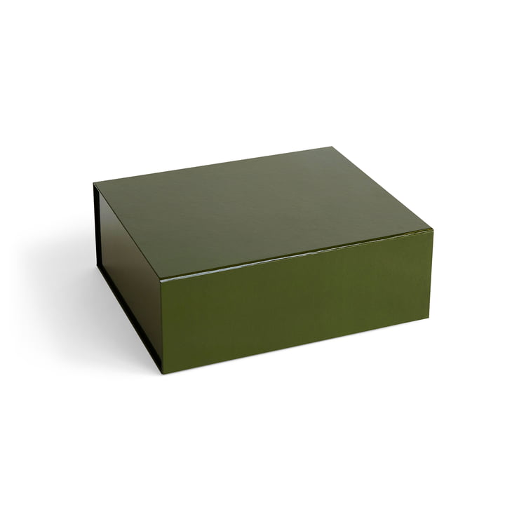Colour Boîte de rangement magnétique M de Hay dans la couleur olive