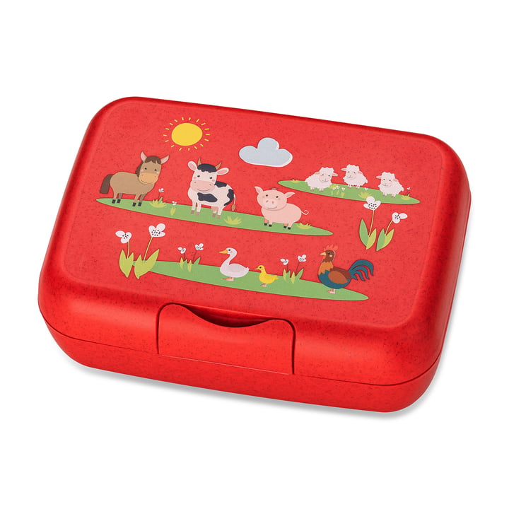 Candy L Boîte à lunch pour enfants Farm, organic red de Koziol