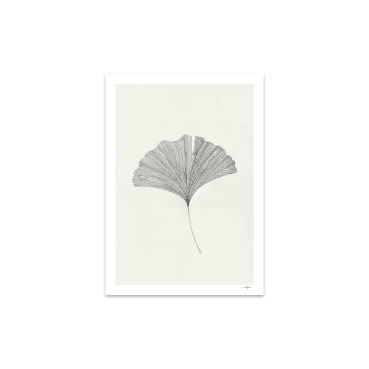 Ginkgo Leaf par Ana Frois, 30 x 40 cm de The Poster Club