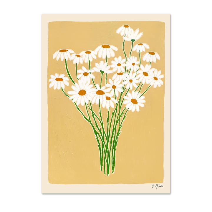 Daisies par Carla Llanos pour The Poster Club