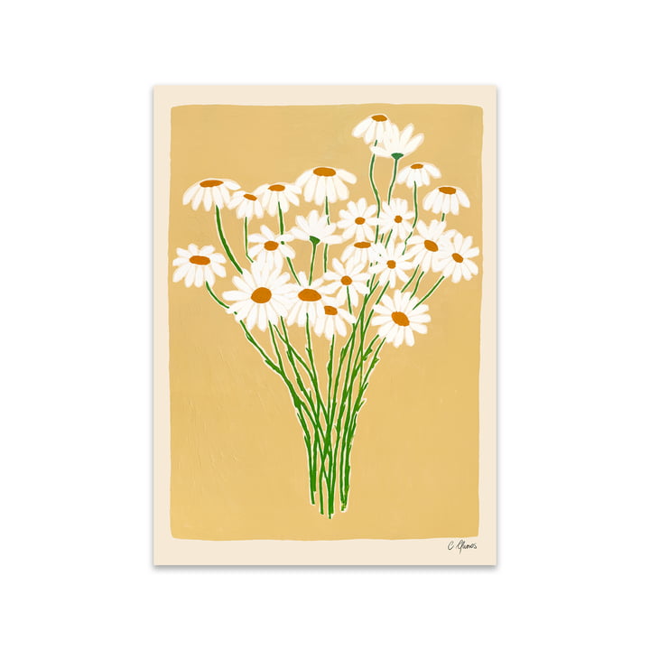 Daisies par Carla Llanos pour The Poster Club