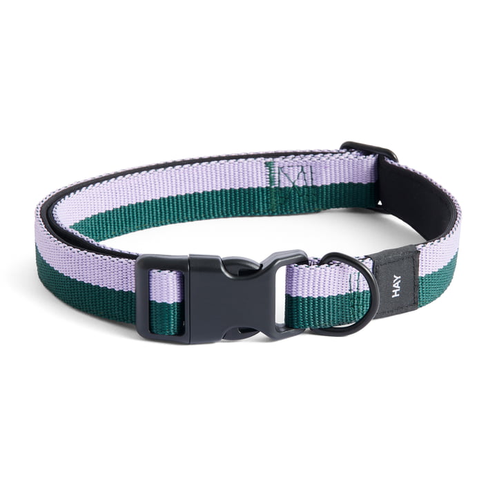 Hay - Dogs Collier de chien, M/L lavande / vert