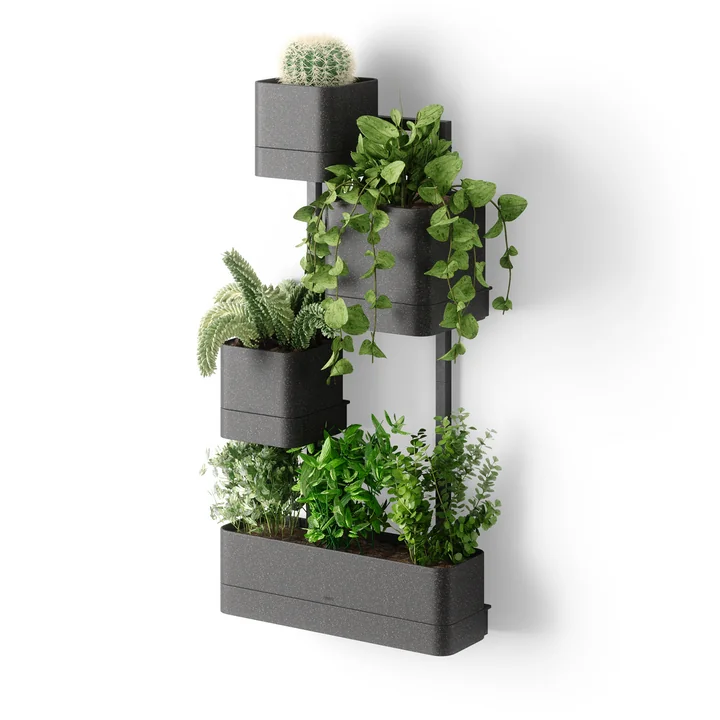 Cubiko Jardinière murale, noir de Umbra