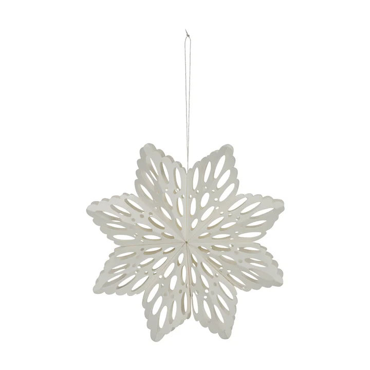 Flocon de neige de House Doctor