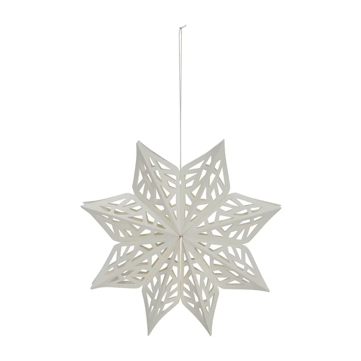 Flocon de neige de House Doctor