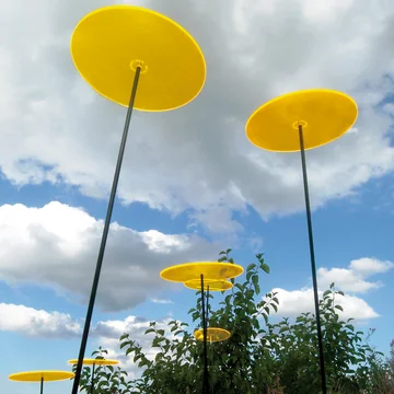 Cazador del sol - Uno Capteur de soleil, jaune