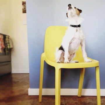 Emeco - Chaise Broom