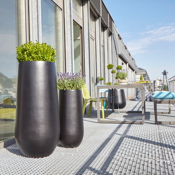 L'amphore en M et L d'Amei