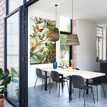 Colibris (Haeckel) de IXXI