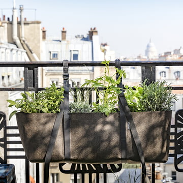 Sachet de plantes compact pour le balcon