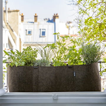 Les plantes sur le balcon : le sac de plantes Bacsac