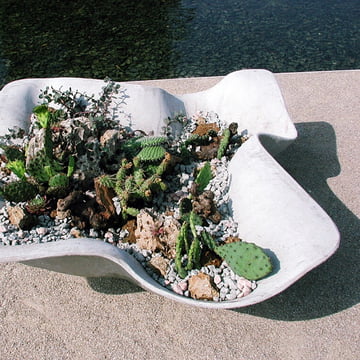 Le pot à plantes Biasca de Eternit avec des plantes grasses et des pierres