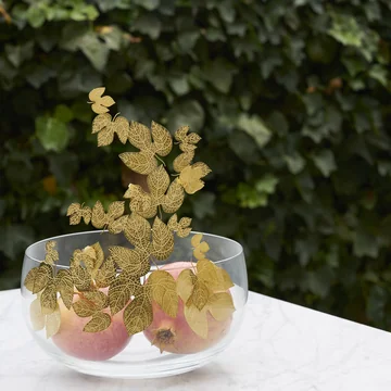 Frutteti Bowl de Opinion Ciatti