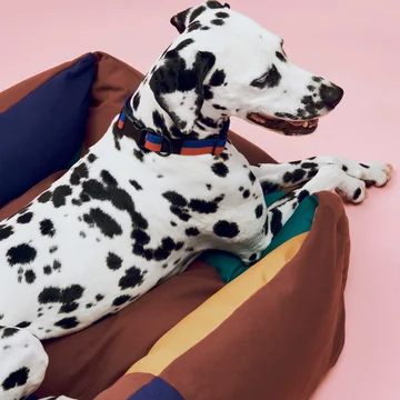 HAY - Dogs - Lit - M - Situation