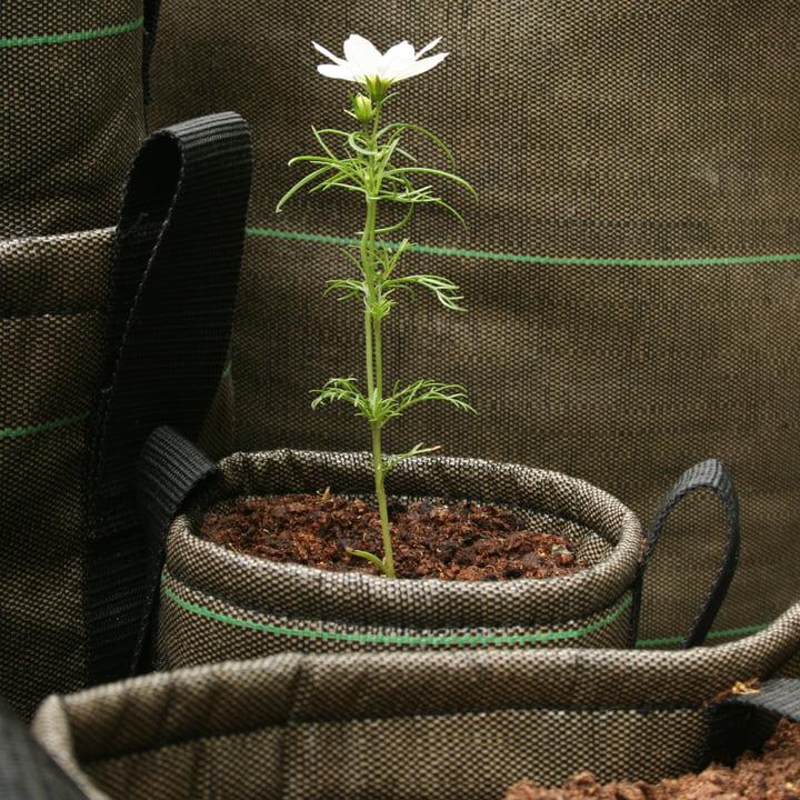 Pot Sac de plantes de balcon de Bacsac