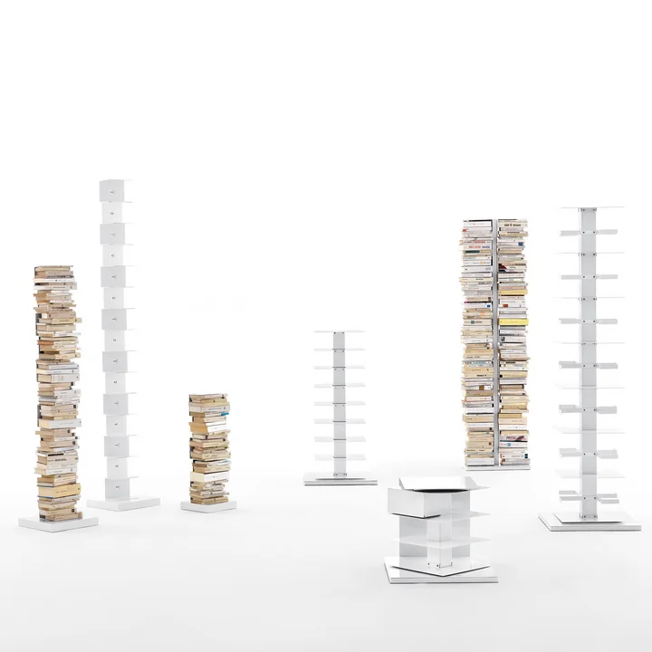 Opinion Ciatti - Ptolomeo et sa famille