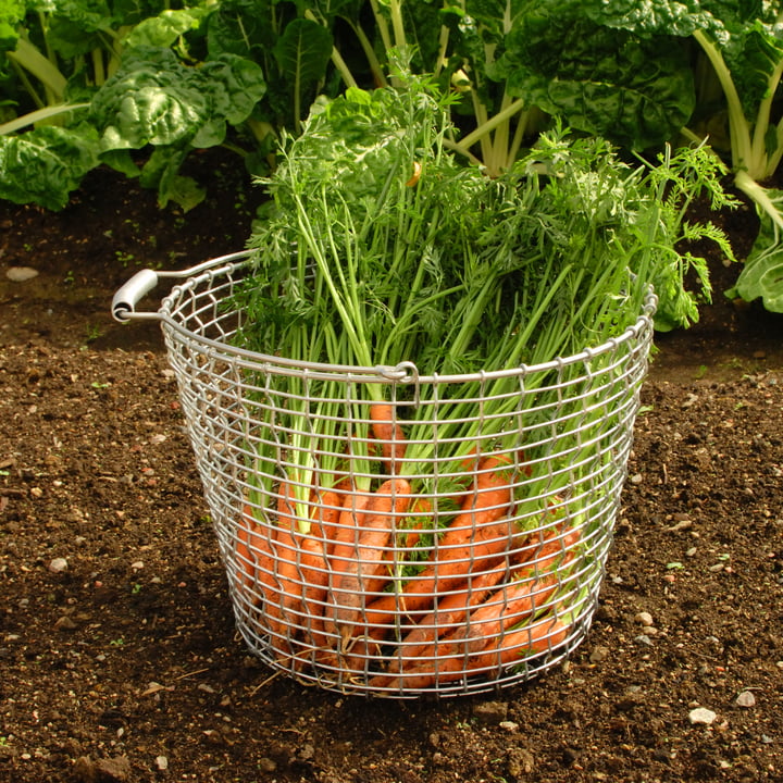 Corbeille en fil de fer pour fruits et légumes