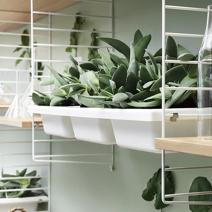 String - Insert de rangement