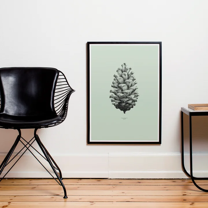 Paper Collective - Nature 1:1 Pine Cone (green)