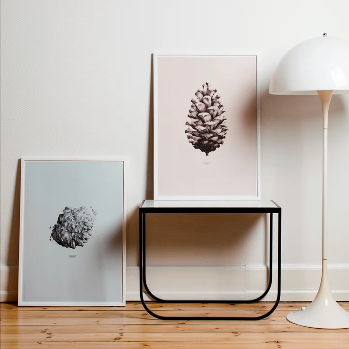 Paper Collective - Poster Nature 1:1 Pine Cone