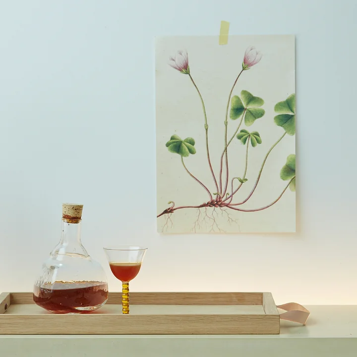 Norr Plateau de Skagerak en bois de chêne