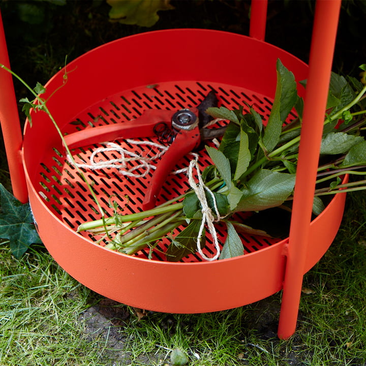 Zone de stockage en réseau pour les plantes et les fleurs