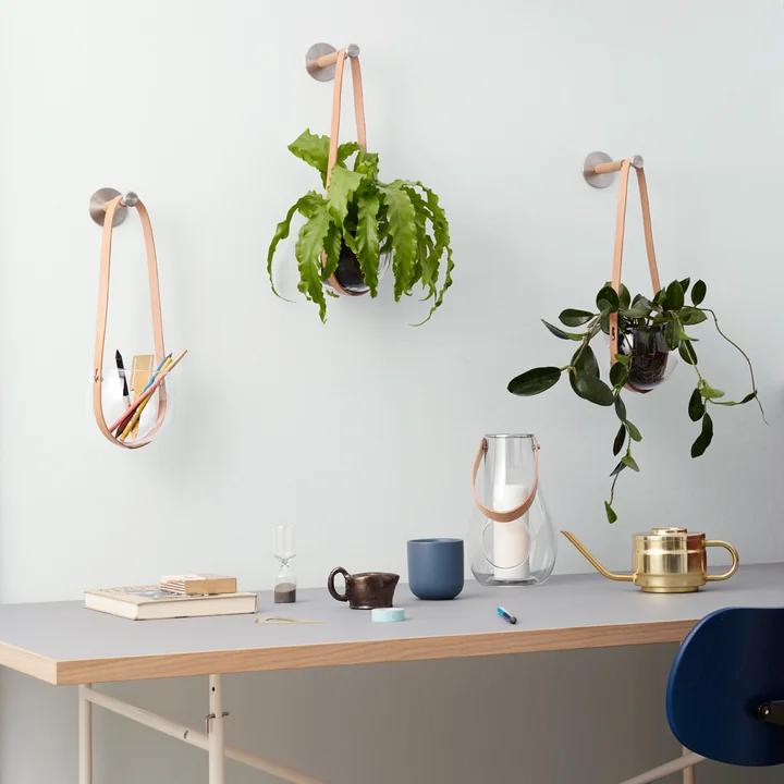 Une œuvre d'art naturelle accrochée au mur